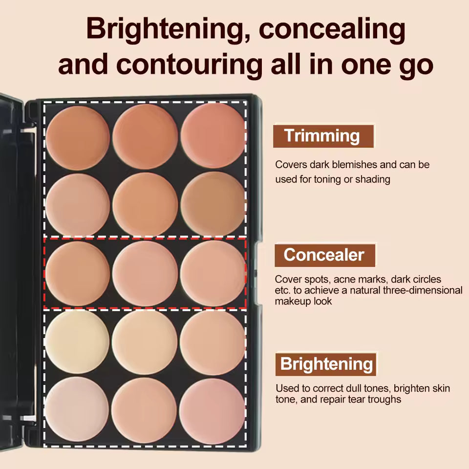 Palette de maquillage professionnel, fond de teint, ombre à barrage, correcteur - 15 couleurs - avec pinceau et éponge